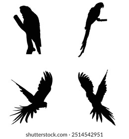 Silhouette a parrot  collection vector illustration.
