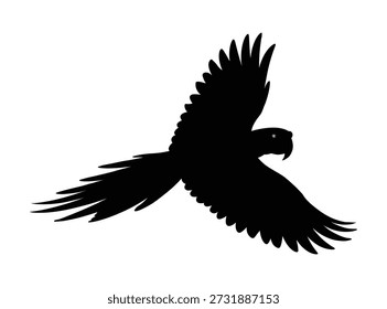 Eine Silhouette eines Papageien im Flug, mit weit ausgebreiteten Flügeln und langen Schwanzfedern dahinter. Der Vogel ist auf schwarz auf weißem Hintergrund dargestellt.