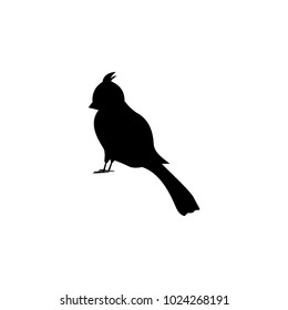 silhouette of a parrot icon. Element of pet for mobile concept and web apps. Icon for website design and development, app development. Premium icon on white background