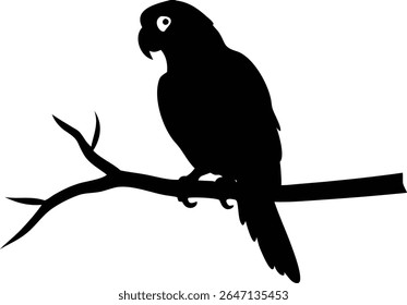 Silhouette of a parrot perched elegantly on a branch against a clean white backdrop