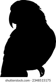 silhouette of a parrot sitting on a branch. isolated vector silhouette.