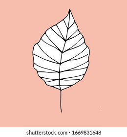 Silhouette pattern of leaves on a background of warm tones
