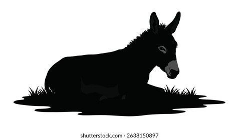 Silhouette: Peaceful Donkey Resting on Grass  Farm Animal