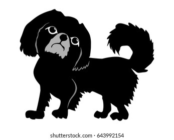 silhouette of Pekingese