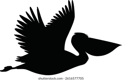 Silhouette Pelican Bird in Flying Position