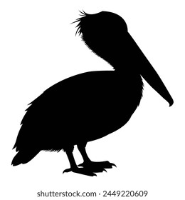 silhouette of pelican on white background