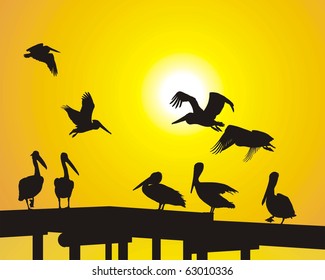 Silhouette pelicans and sunsets over the pier