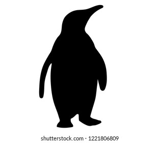 The silhouette penguin