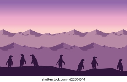 Silhouette of penguin lined on hill landscape