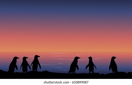 Silhouette penguin at night landscape illustration vector