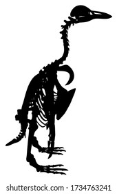 silhouette of a penguin skeleton vector illustration