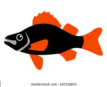 silhouette of perch