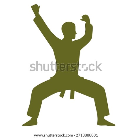 silhouette of a person practicing karate pose for defense and discipline sport