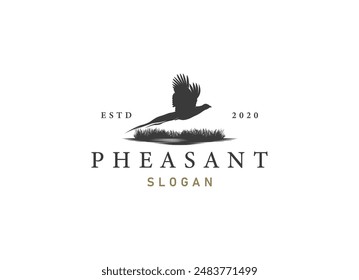 silhouette of pheasant logo design. Beauty pheasant logo