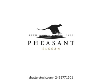 silhouette of pheasant logo design. Beauty pheasant logo