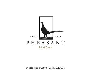 silhouette of pheasant logo design. Beauty pheasant logo