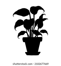 Silhouette Philodendron House Plant. Indoor Potted Plant Vector Black And White Outline Doodle Illustration.