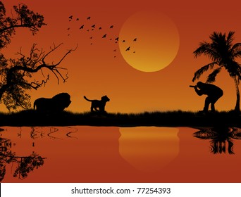 Silhouette of photographer and lions at orange sunset landscape