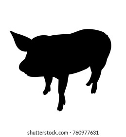 silhouette of the pig, isolated