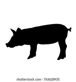 silhouette pig, isolated