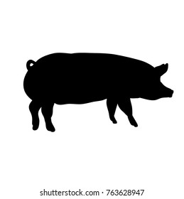 silhouette pig, isolated