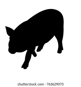 silhouette pig, isolated