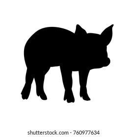 silhouette of the pig, isolated, vector