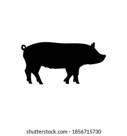 Silhouette Pig On White Background Stock Vector (Royalty Free ...