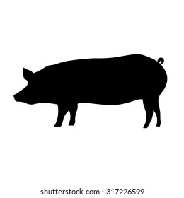  Silhouette of the pig. Vector black illustration