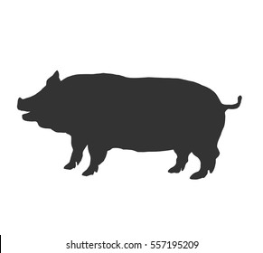 Silhouette of a pig, vector illustration, hand drawing, sketch