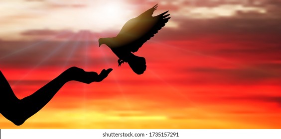 Silhouette of pigeon bird flies on woman's hand that has food for birds on background of sunset with rays of sun. Vector illustration