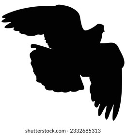 Silhouette of a pigeon in flight
