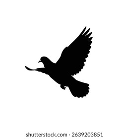 Silhouette: Pigeon Mid-Flight, Wings Fully Spread - Soaring