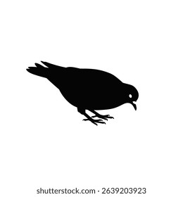 Silhouette: Pigeon Pecking Ground - Urban Bird Icon