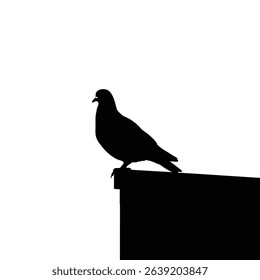 Silhouette: Pigeon Perched on Rooftop Edge - Urban Icon