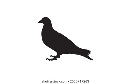 Silhouette of a pigeon in a standing pose, showcasing its distinct shape, isolated on a clean white background for designs.