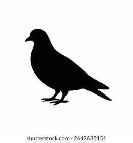 Silhouette of a pigeon standing still