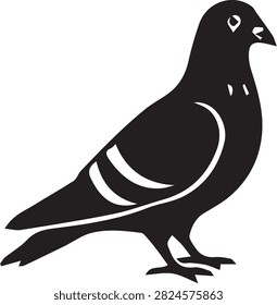 Silhouette of a pigeon standing with white markings on wings and neck