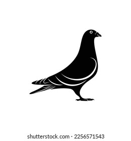 Silhouette pigeon vector illustration design