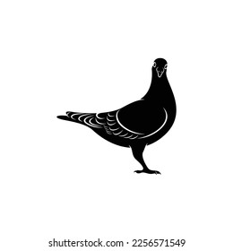 Silhouette pigeon vector illustration design