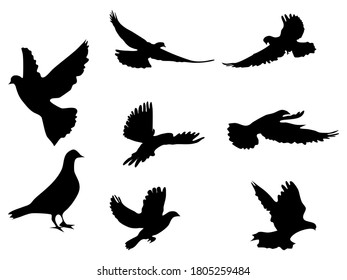 silhouette pigeons set. silhouette flying birds on white background. vector illustration