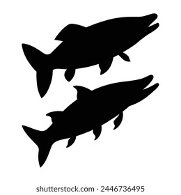 silhouette of pike fish on white