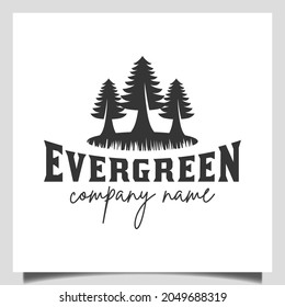 silhouette pine evergreen or conifer cedar coniferous cypress larch, pine tree forest vintage retro Logo design vector template