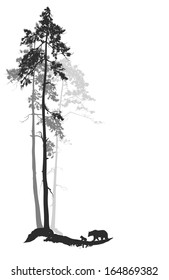 silhouette of a pine forest with bears, white background, vector illustration, black and white