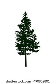 Silhouette of pine tree.