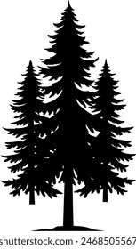 silhouette of a pine tree Douglas spruce