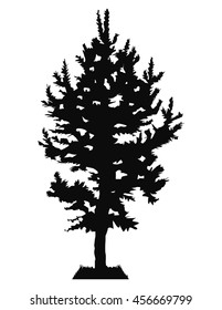 Silhouette of pine  tree (fir, spruce) . Can be used as poster, badge, emblem, banner, icon, sign, decor...