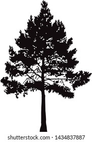 Silhouette of pine tree. Hand made.