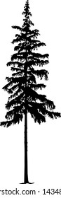 Silhouette of pine tree. Hand made.