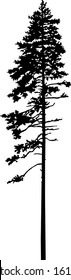 Silhouette of pine tree. Hand made.